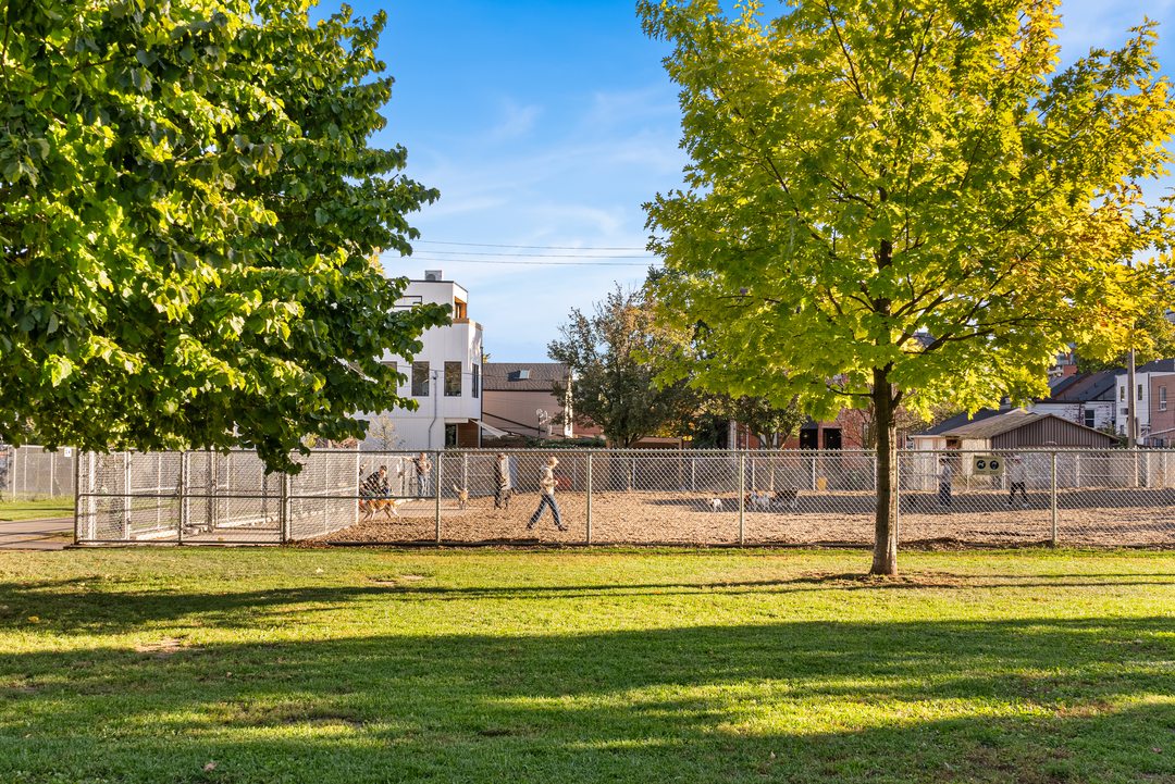 Argyle Laneways — Reside Properties